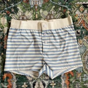 Brandy Melville Blue and White Striped Boxer Shorts